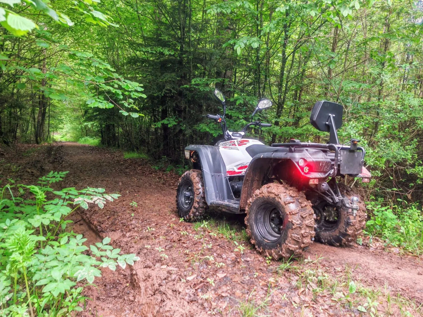 Quad sur un chemin forestier dans les Vosges