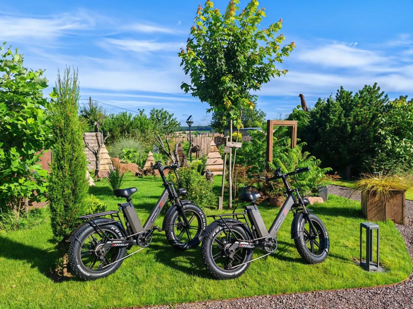 V&eacute;los &eacute;lectriques devant un paysage des Vosges