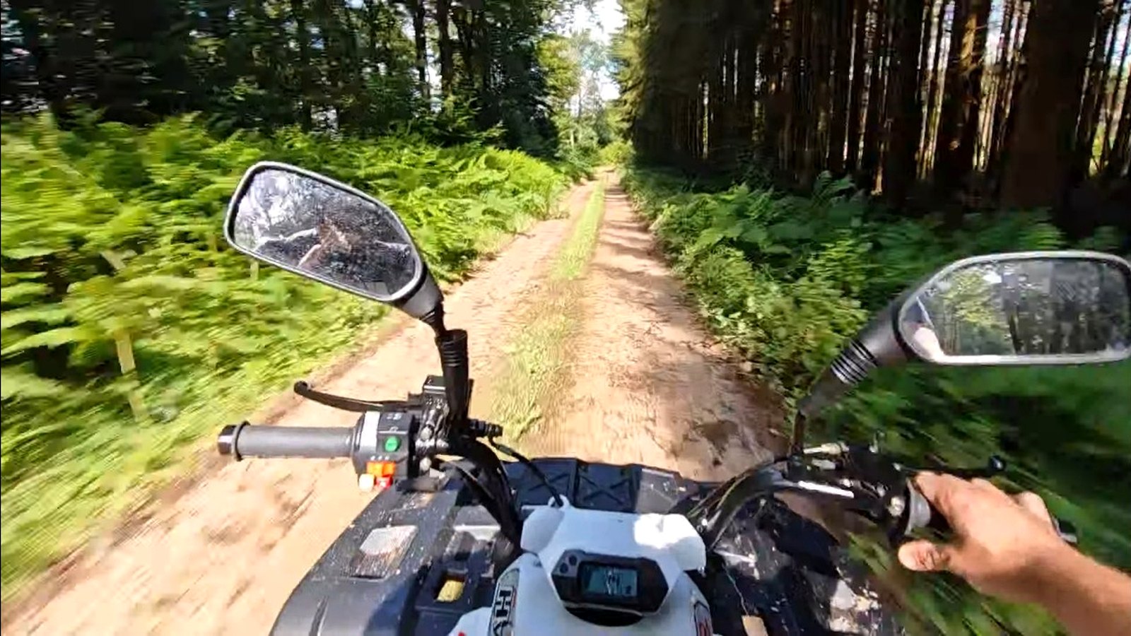 Vue conducteur en quad sur un chemin forestier ouvert dans les Vosges, entour&eacute; de foug&egrave;res et de grands sapins